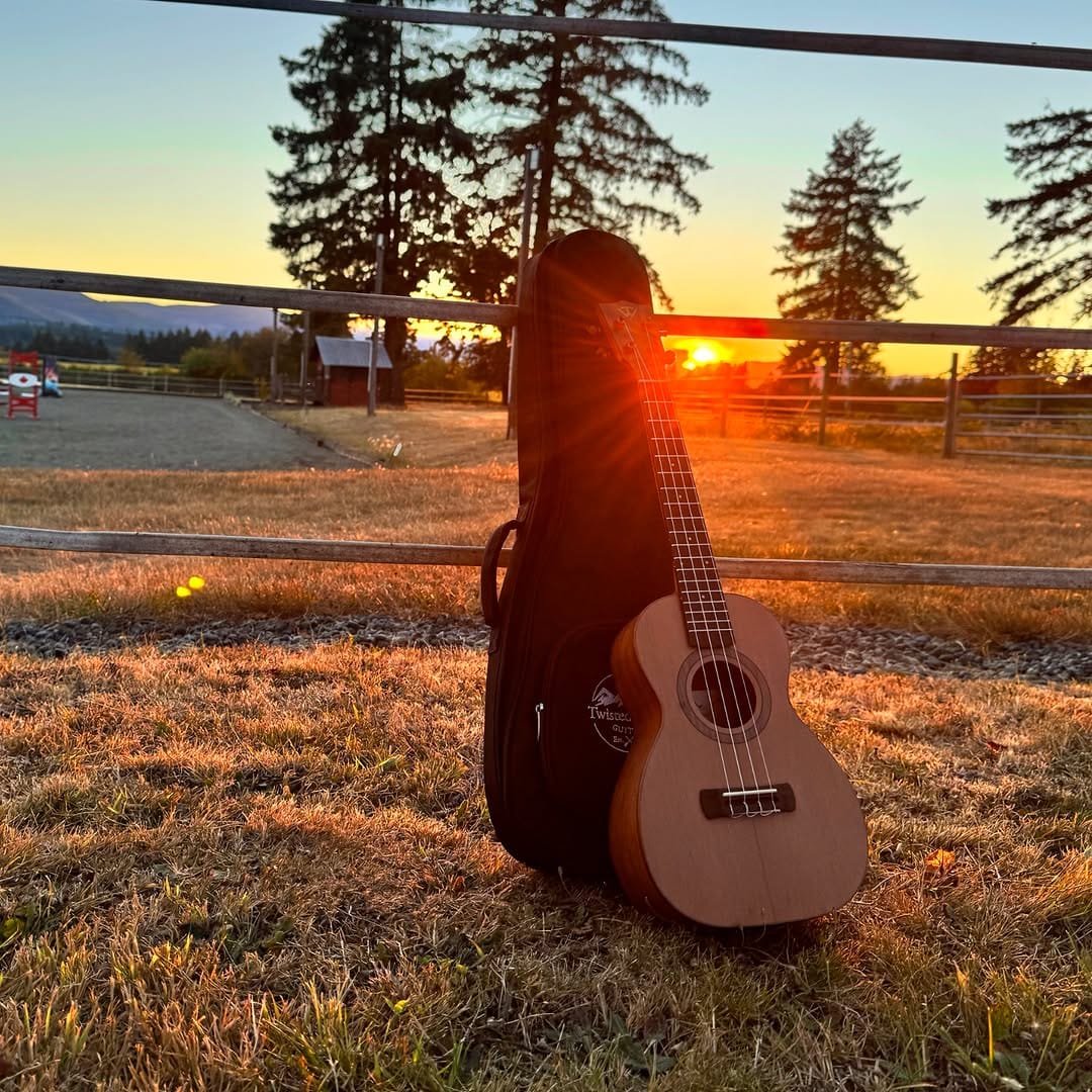 Post 4 by Twisted Wood Guitars on Instagram (carousel)