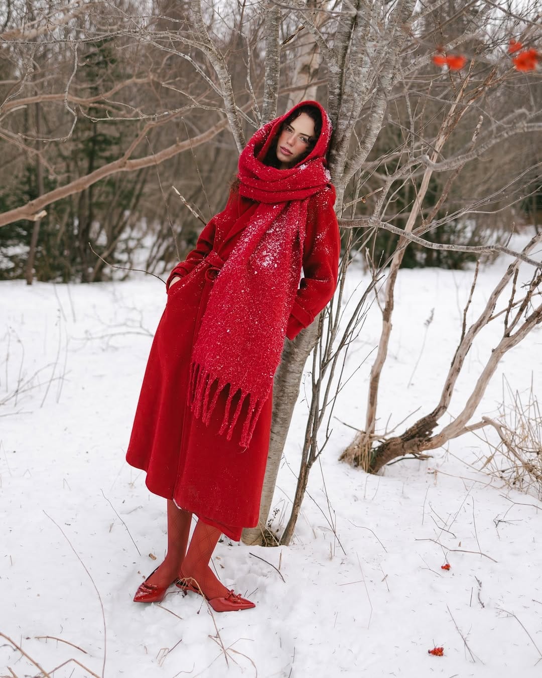 Post 3 by Emily Williams | Newfoundland Photographer on Instagram (carousel)
