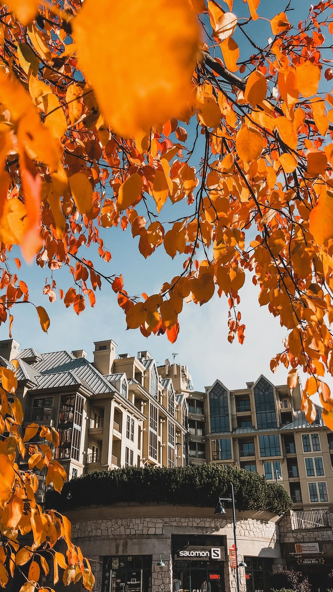 Post 6 by Alex Grant | Travel + Life on Instagram (video)