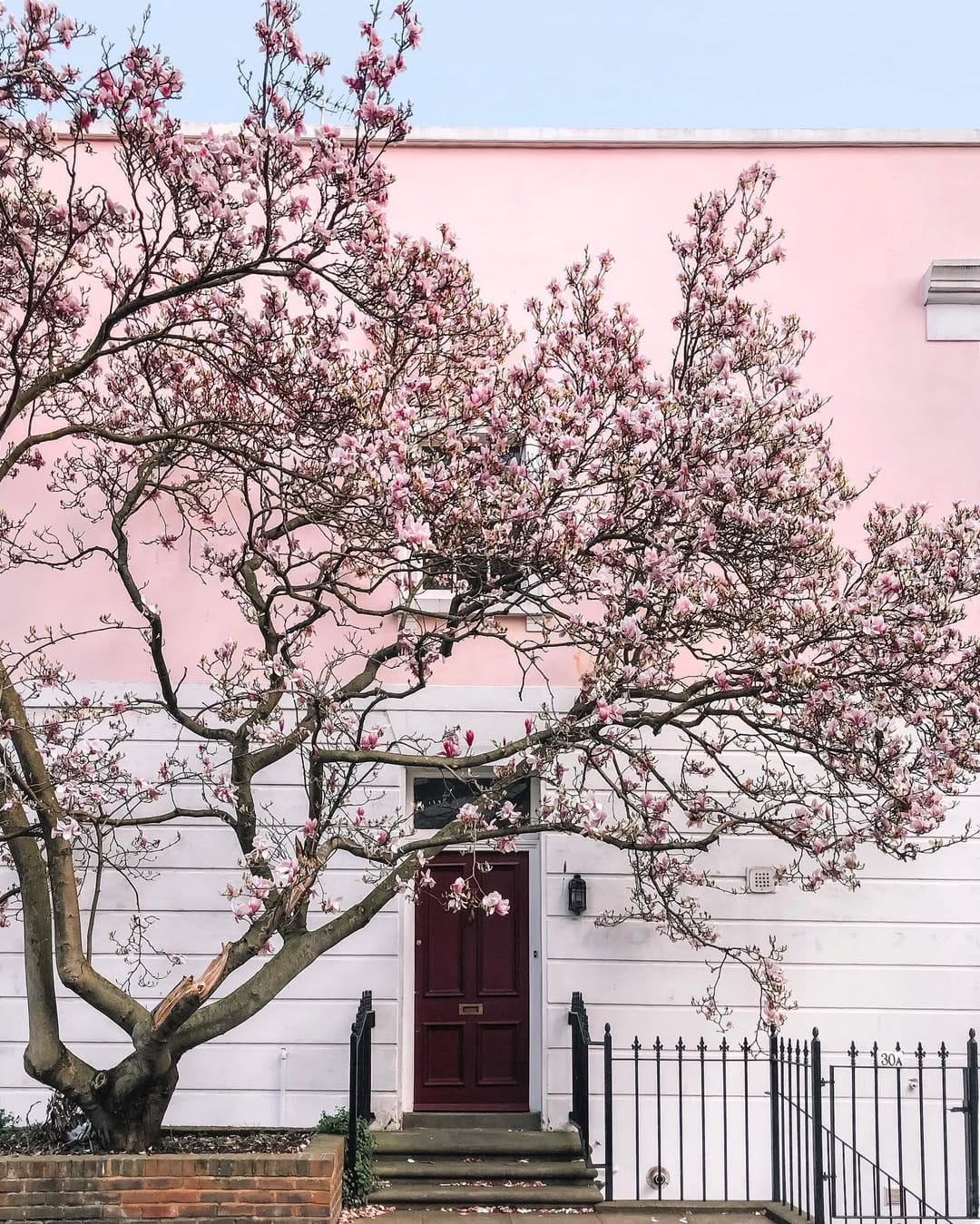 Post 8 by ꧁ DENI ꧂ on Instagram (image)