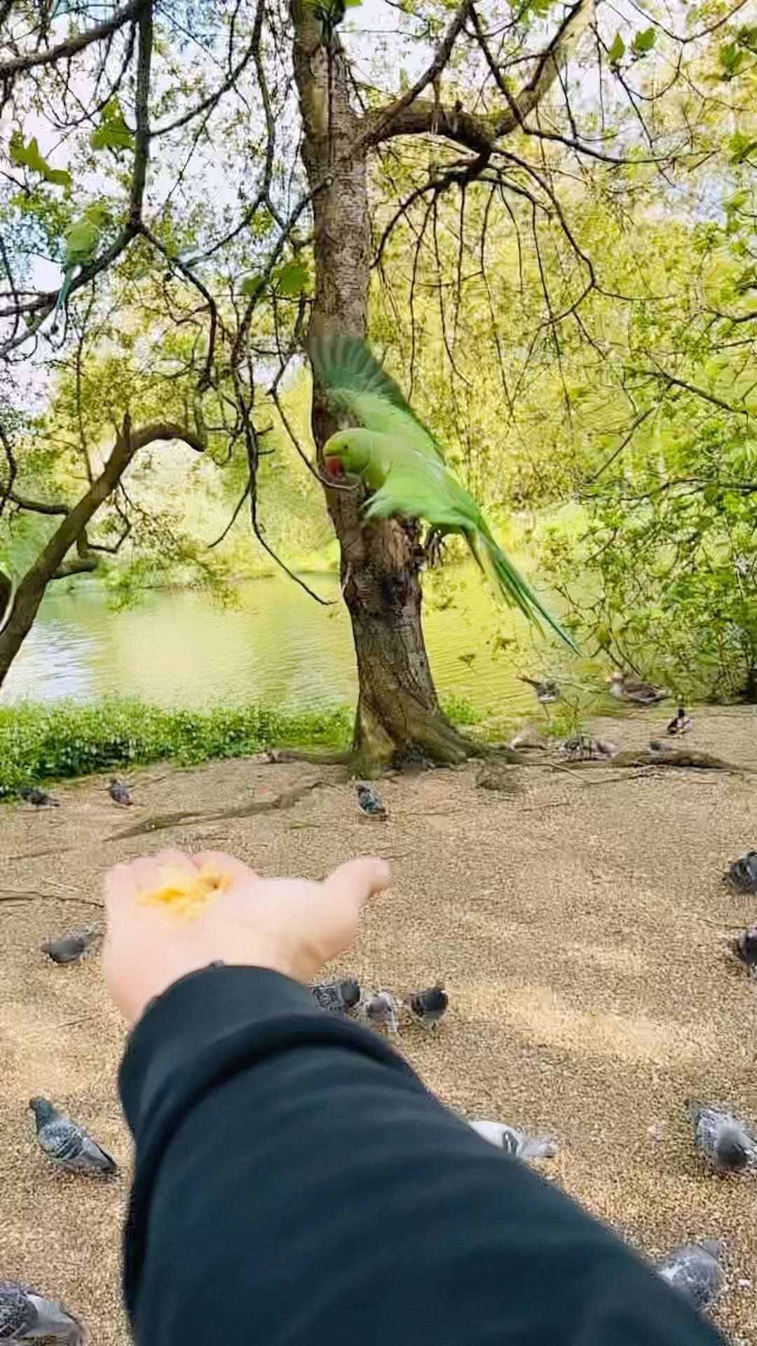 Post 7 by Scott Ralph on Instagram (video)