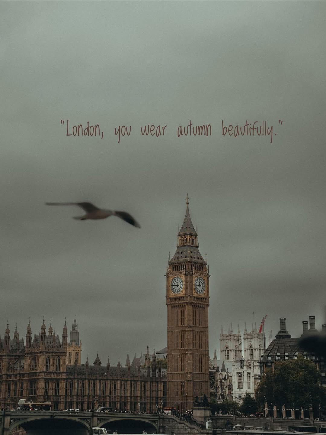 Post 10 by Ioana Maria Aganencei on Instagram (carousel)