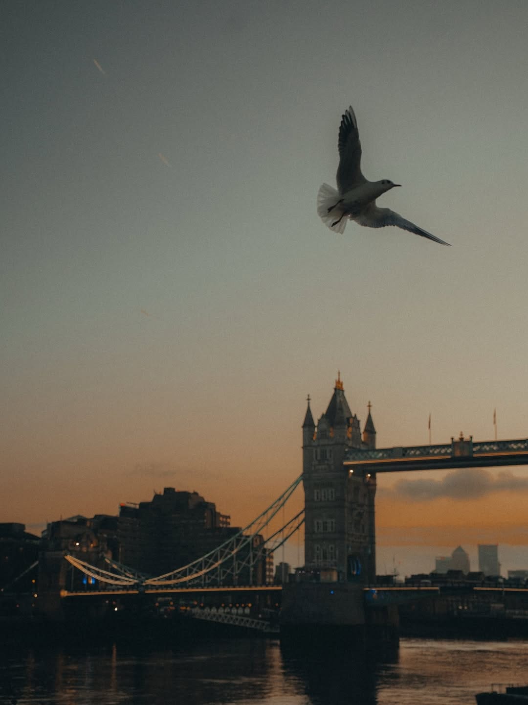 Post 5 by Ioana Maria Aganencei on Instagram (carousel)