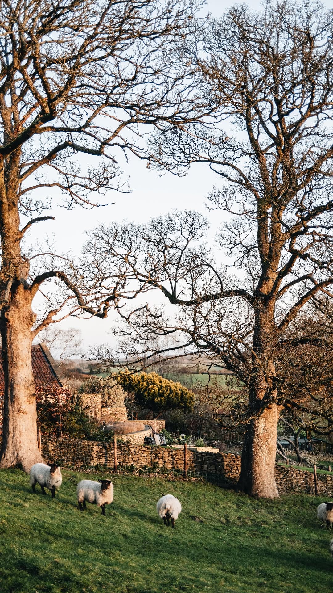 Post 9 by abbie mellé | photographer on Instagram (video)