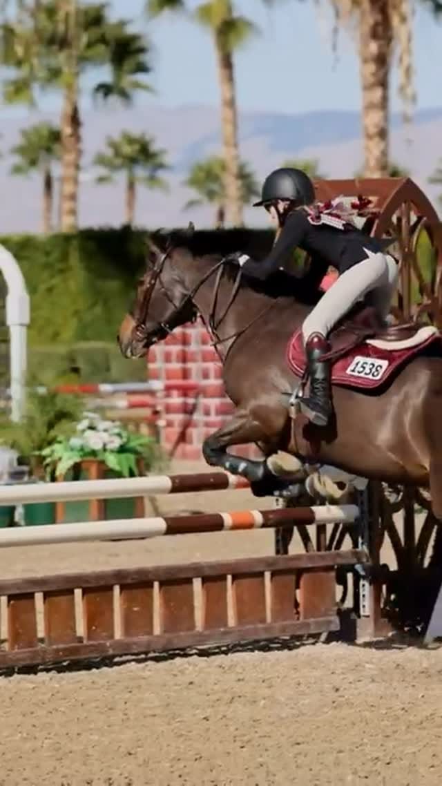 Post 3 by CELERIS UK | Custom Riding Boots on Instagram (video)
