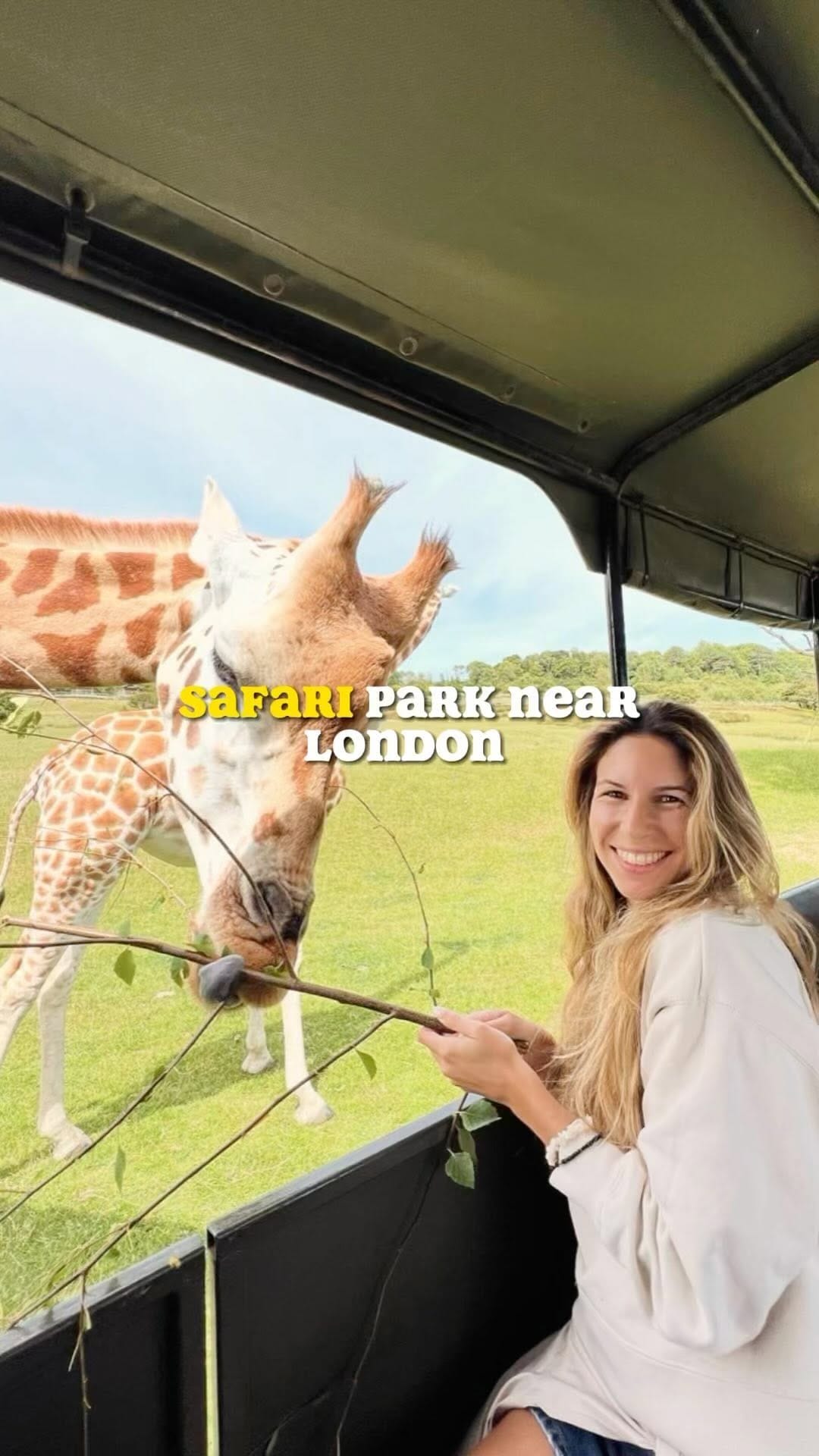 Post 9 by Serena Palladino | Food & Travel on Instagram (video)