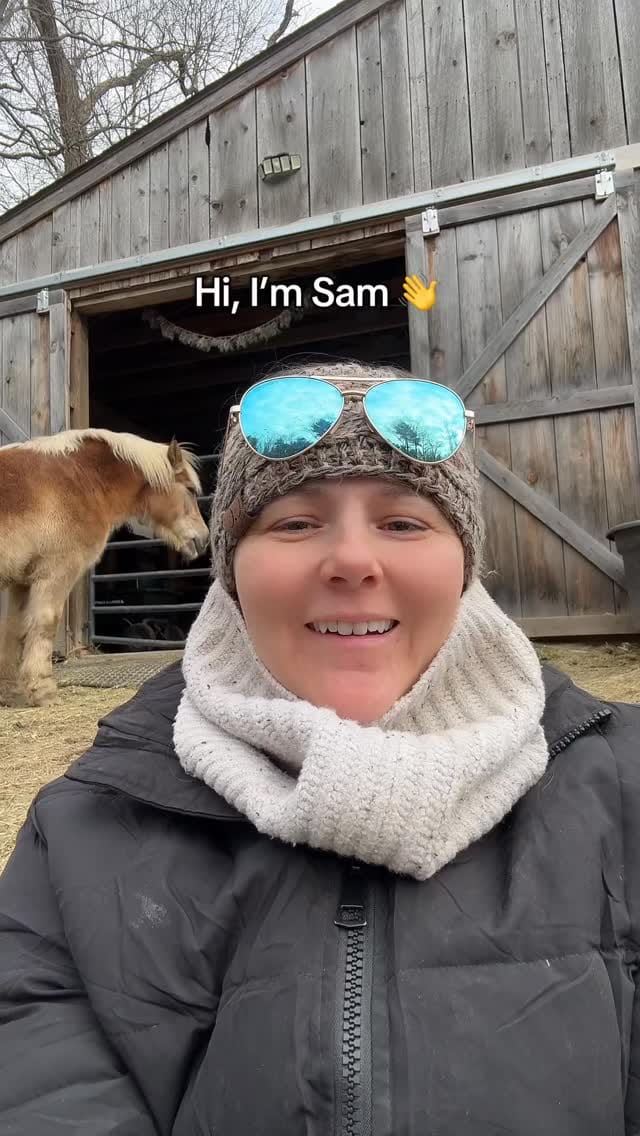 Post 5 by Equi Evolution on Instagram (video)