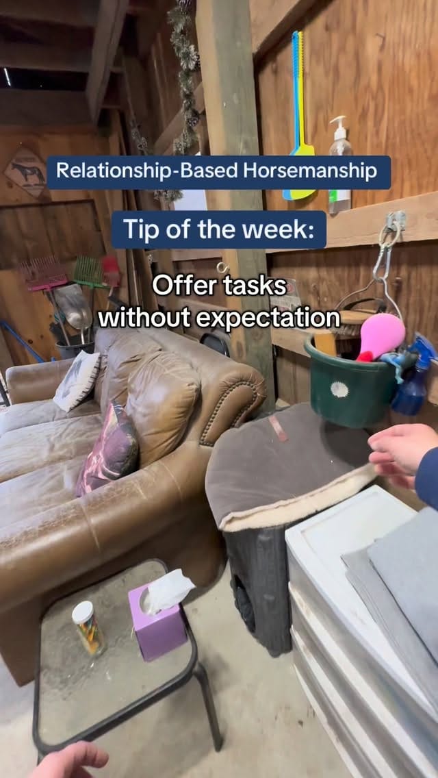 Post 1 by Equi Evolution on Instagram (video)