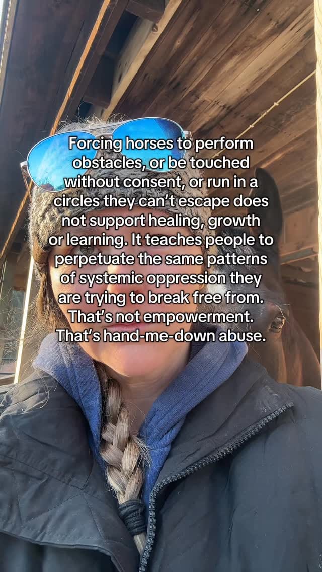 Post 4 by Equi Evolution on Instagram (video)