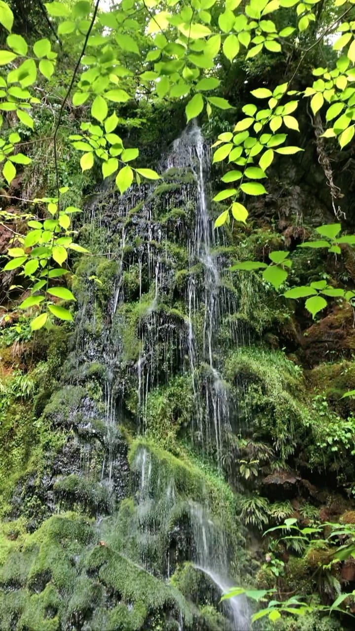 Post 5 by Explorer Mode on Instagram (video)
