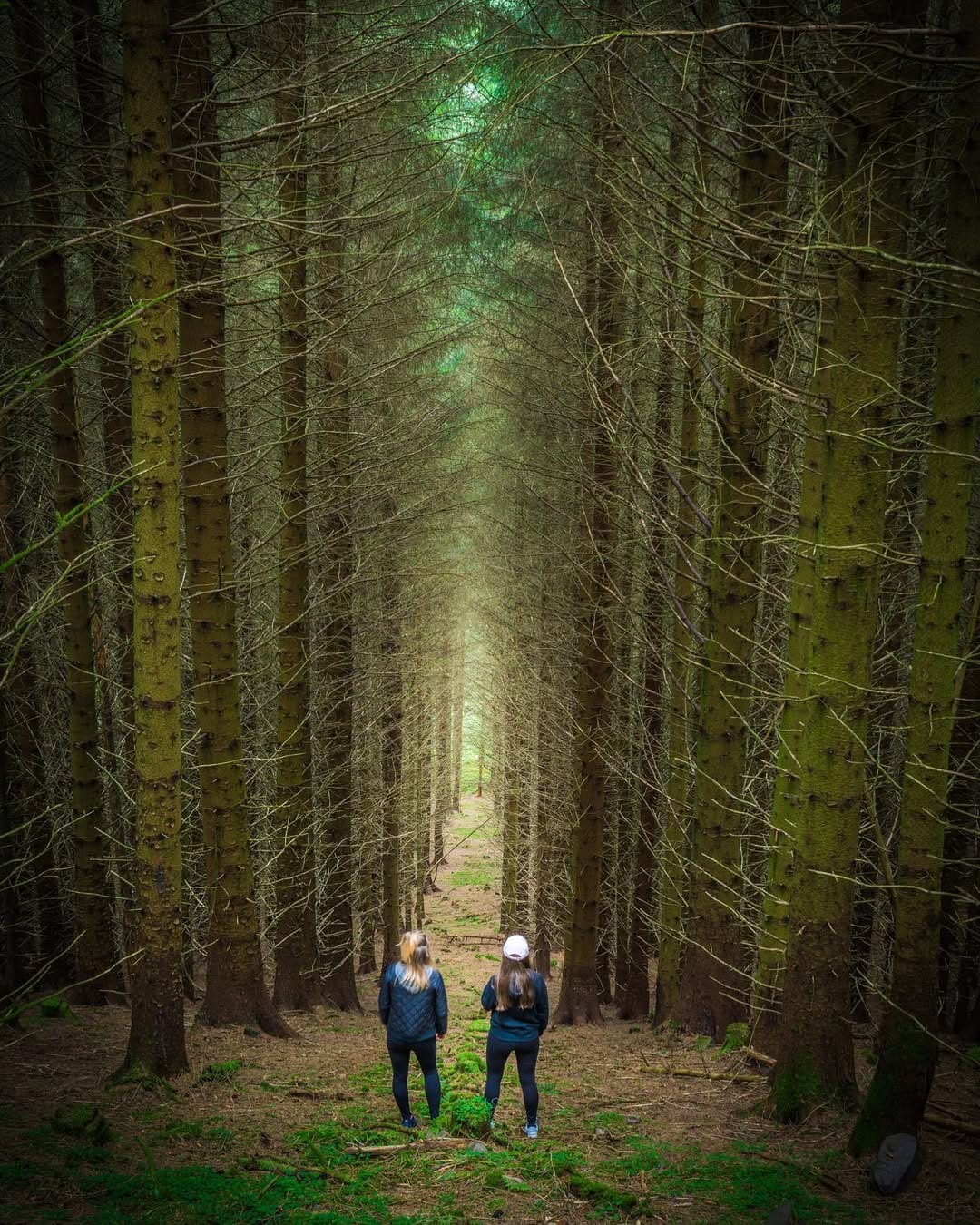 Post 10 by Explorer Mode on Instagram (image)