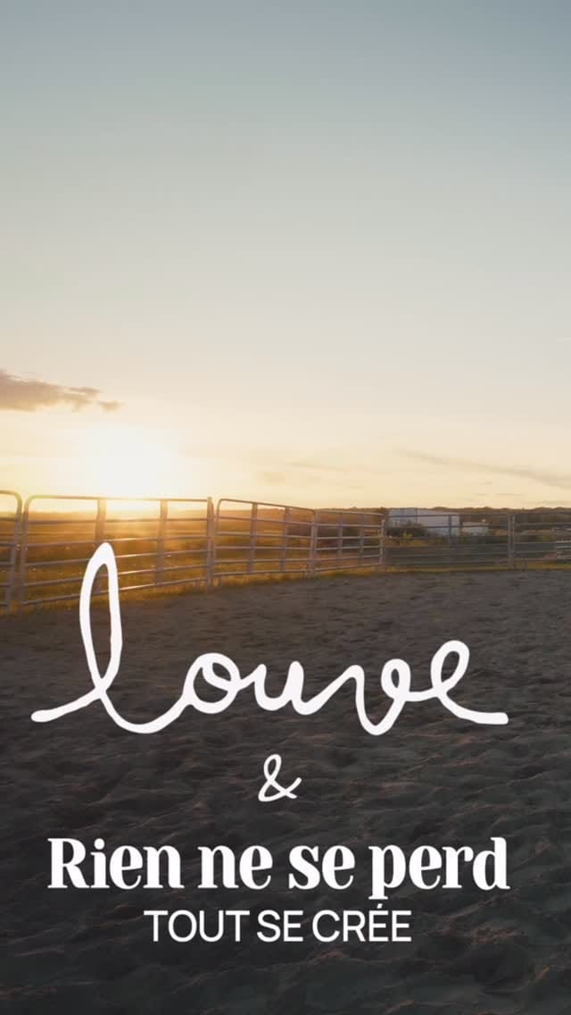Post 5 by Louve Design on Instagram (video)