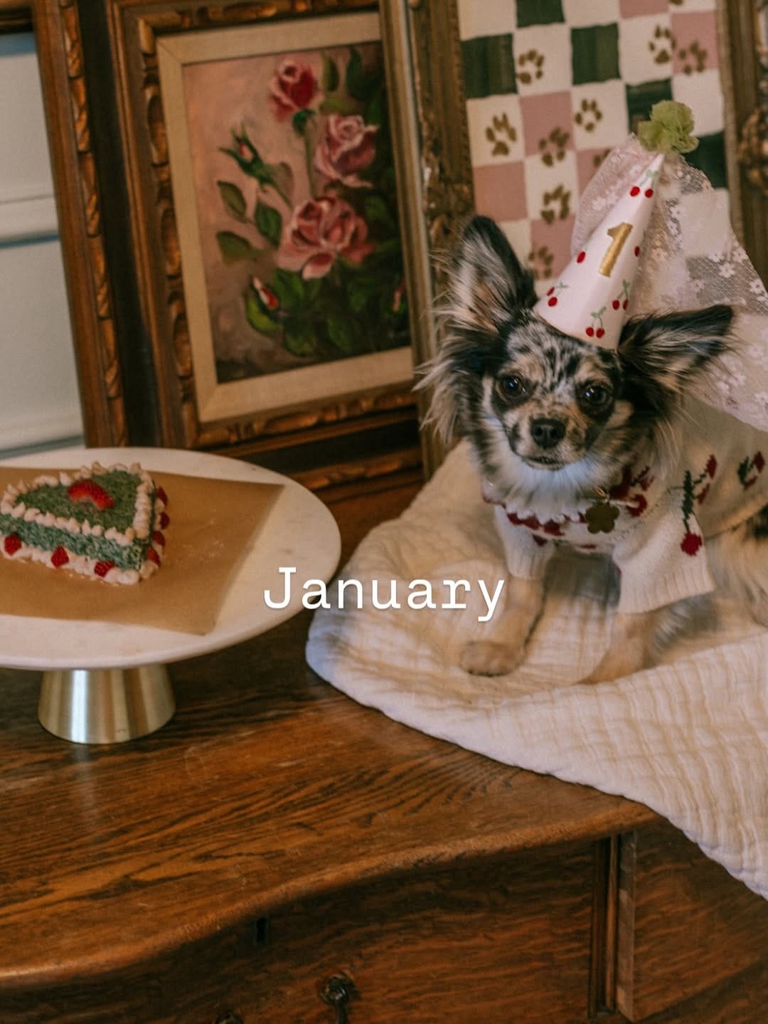 Post 1 by W I L E Y 🐺 on Instagram (carousel)