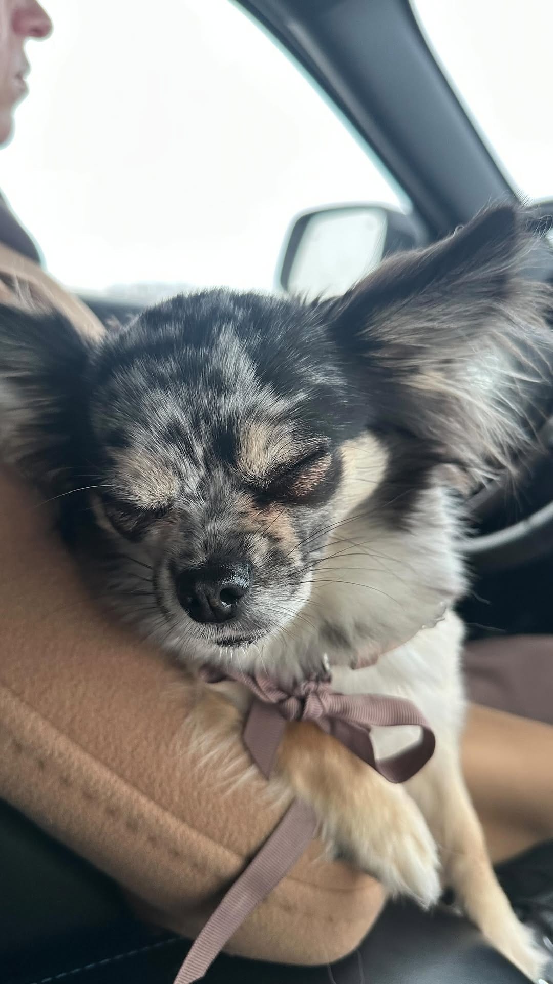 Post 2 by W I L E Y 🐺 on Instagram (video)