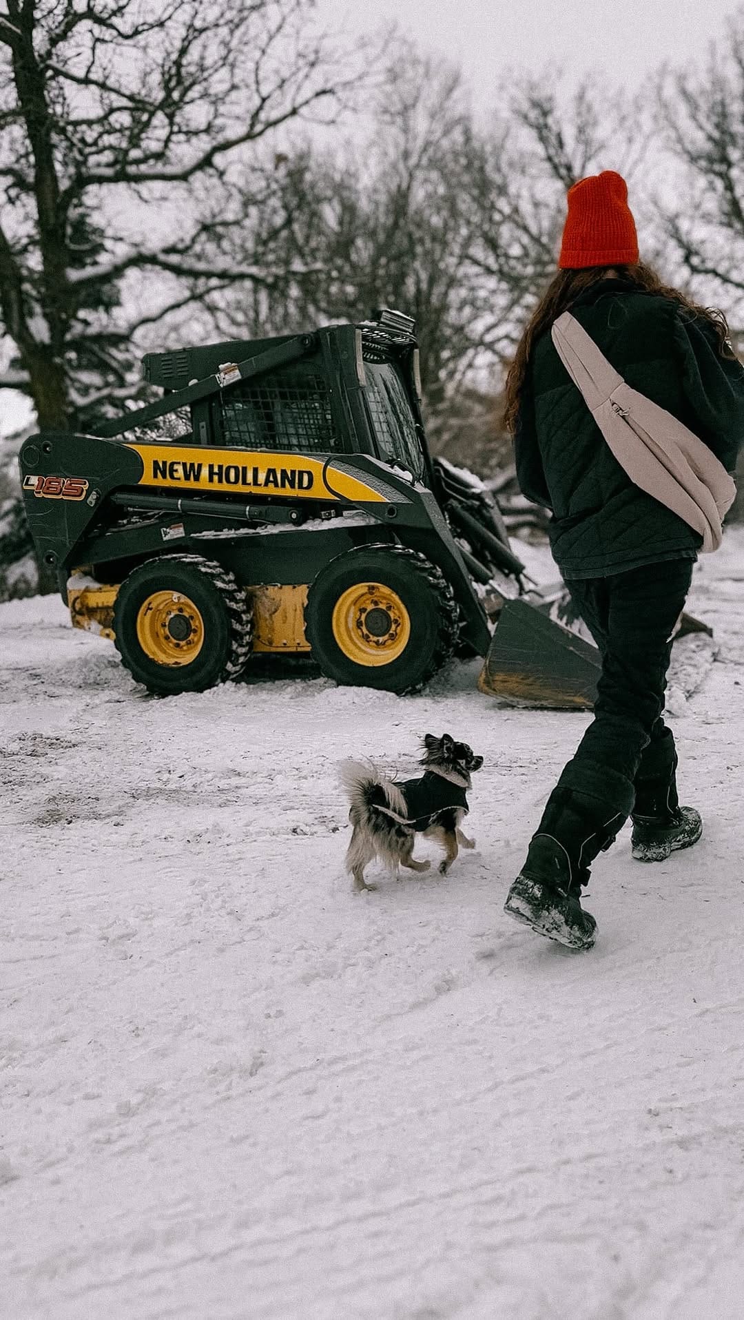 Post 4 by W I L E Y 🐺 on Instagram (video)