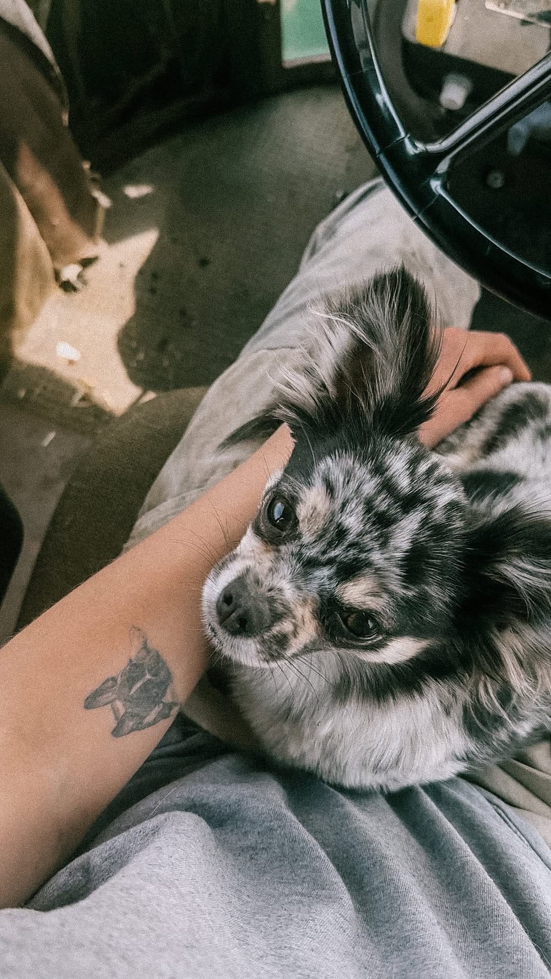 Post 8 by W I L E Y 🐺 on Instagram (video)