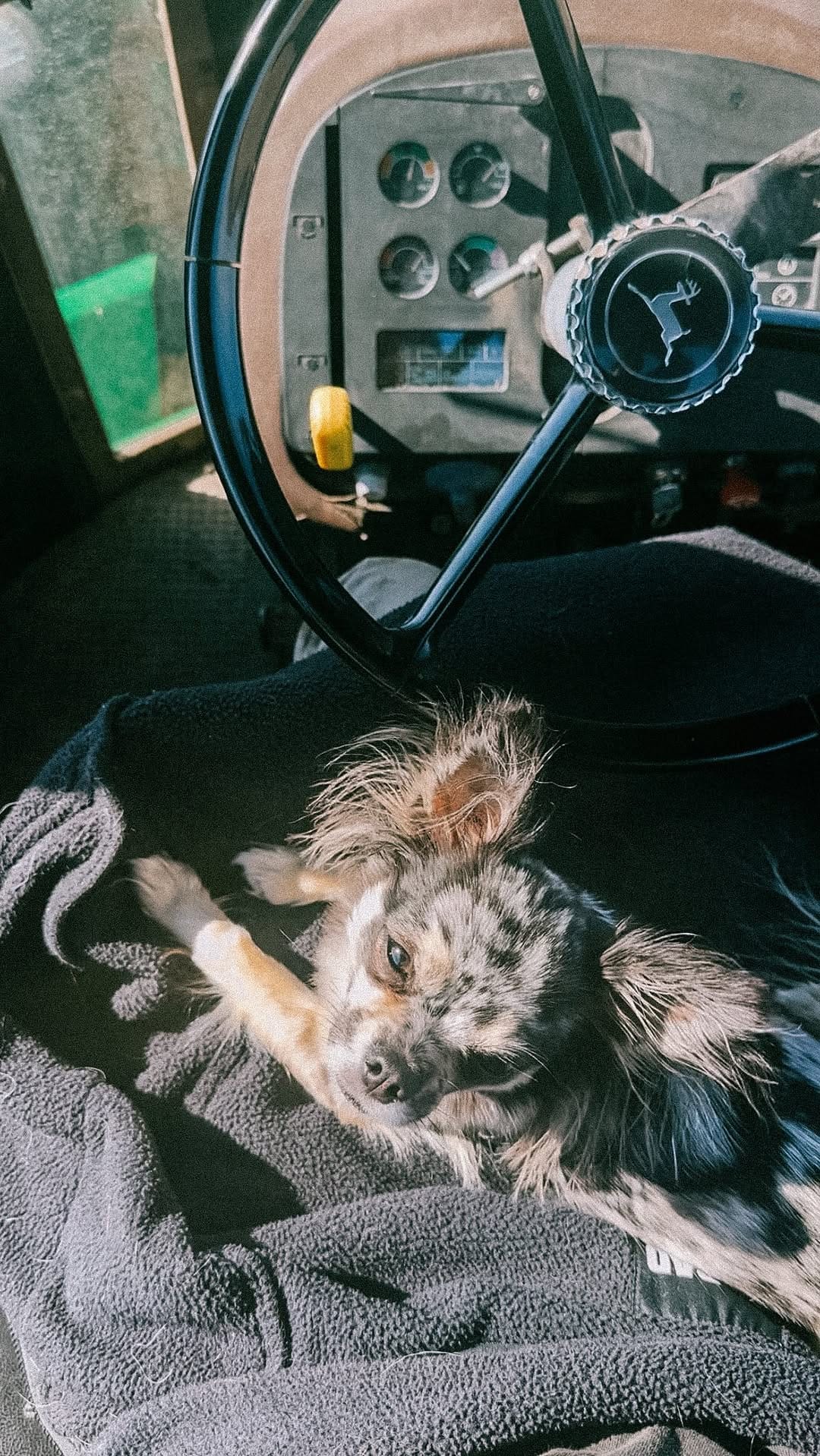 Post 10 by W I L E Y 🐺 on Instagram (video)