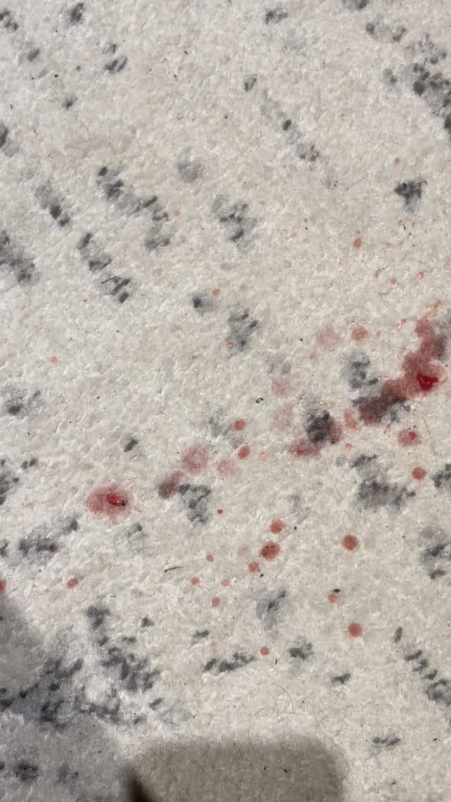 Post 4 by Sabrina Iannarella on Instagram (video)