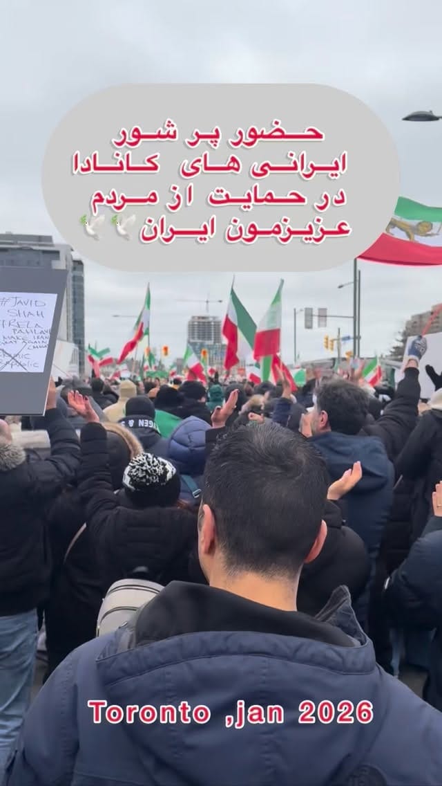 Post 7 by Sevda Shadyankia on Instagram (video)
