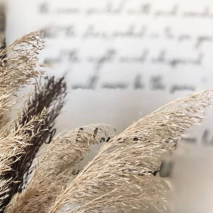 Post 3 by searchingprettycorners on Instagram (image)