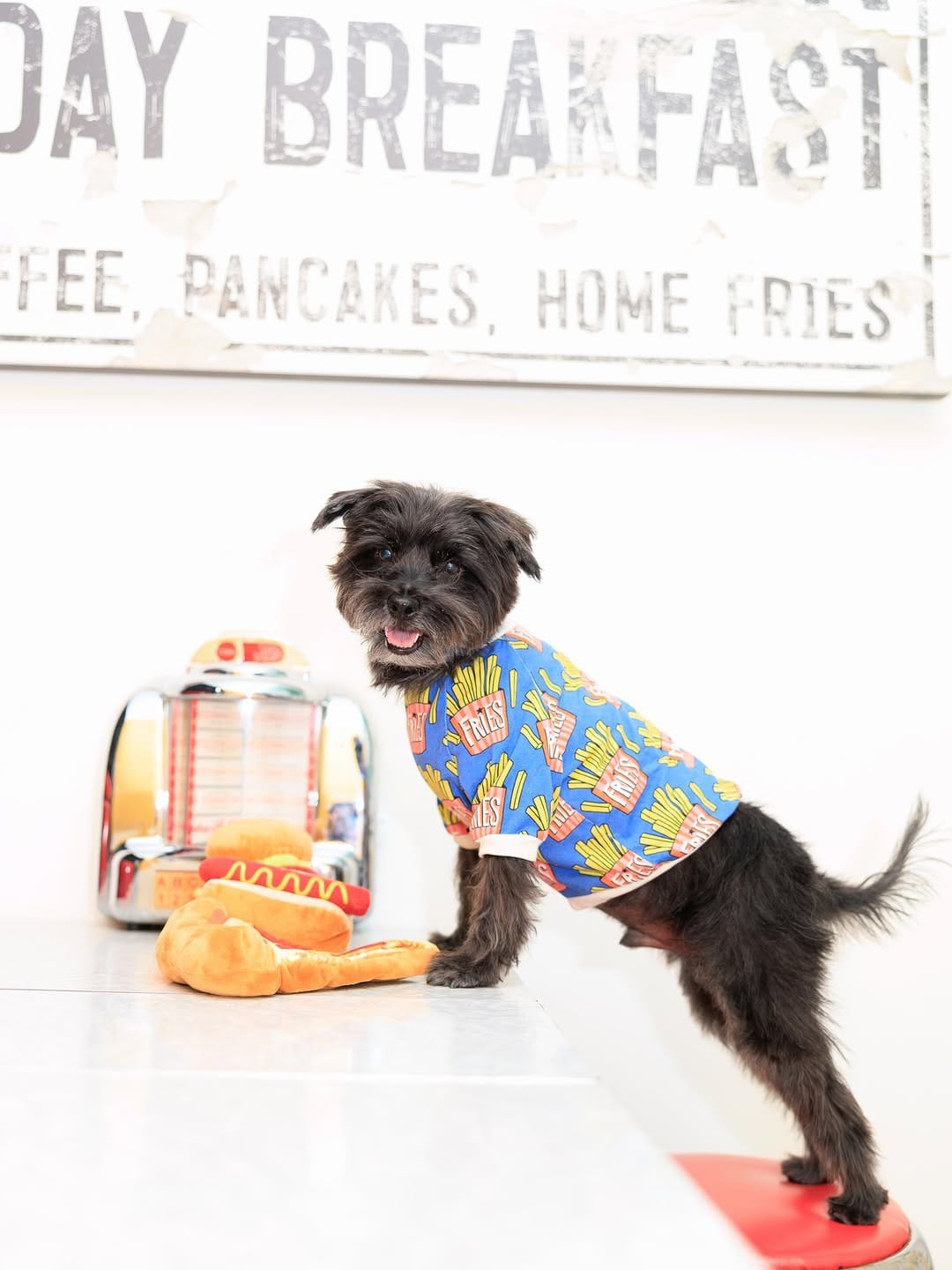 Post 3 by Bacon 🥓 | Doggy Fashion Influencer on Instagram (image)