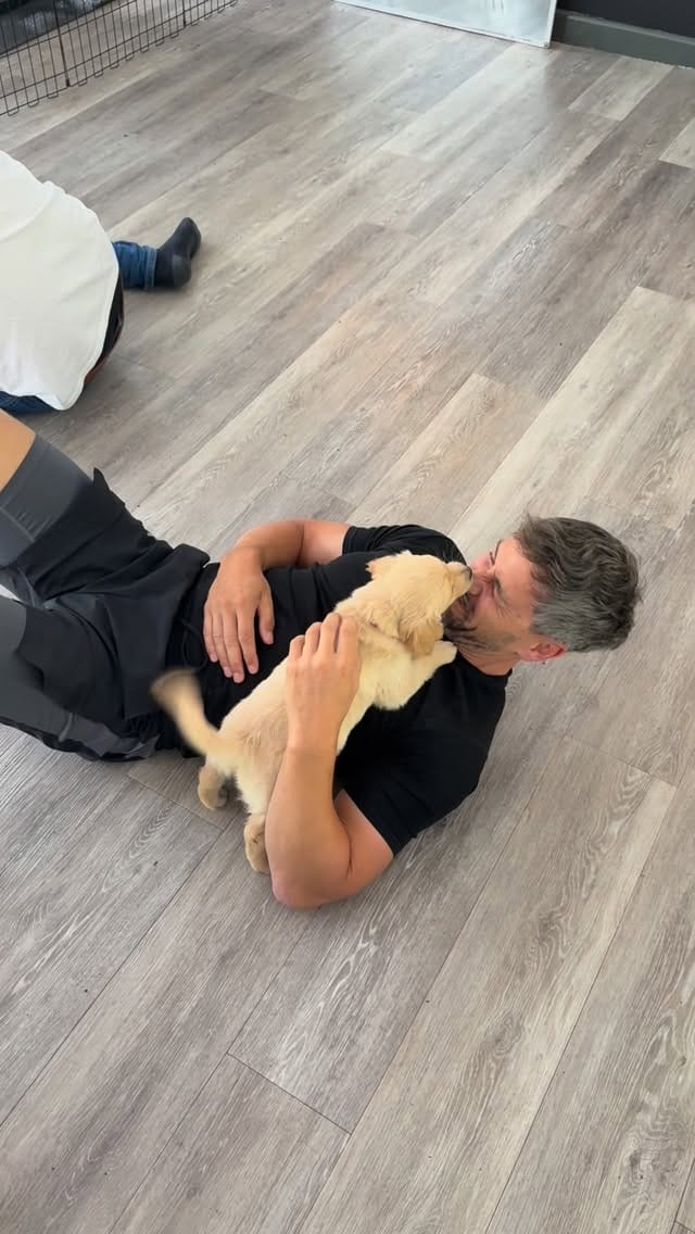 Post 3 by Puppy Yoga/Pilates Chester on Instagram (video)