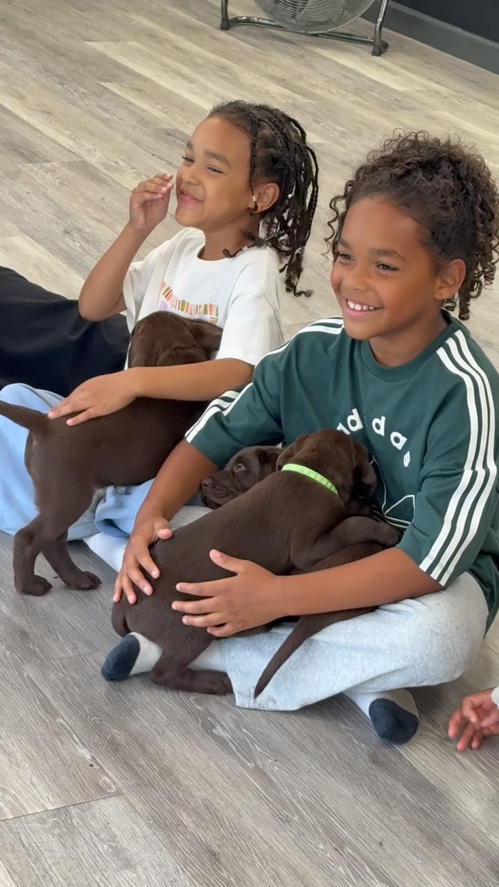 Post 7 by Puppy Yoga/Pilates Chester on Instagram (video)