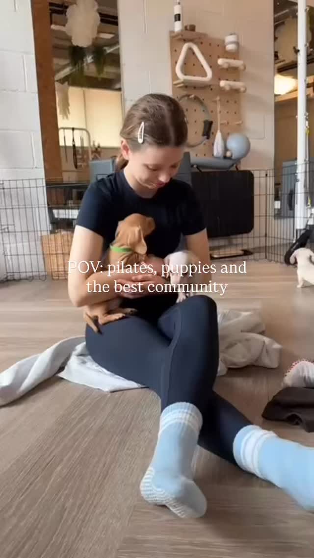 Post 5 by Puppy Yoga/Pilates Chester on Instagram (video)