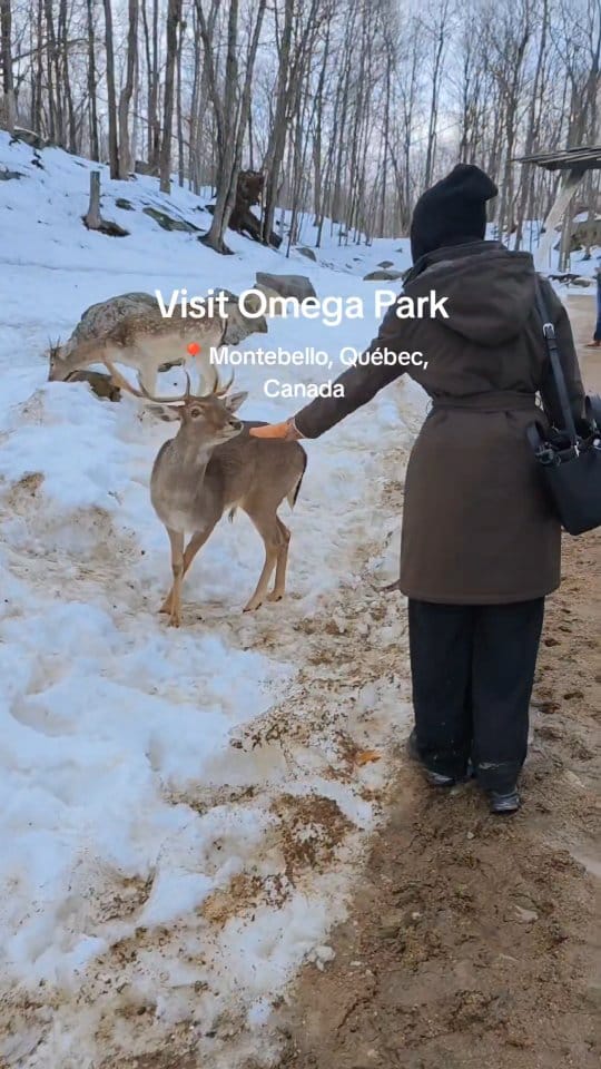 Post 10 by W. (@love_and_travel_stories) on Instagram (video)