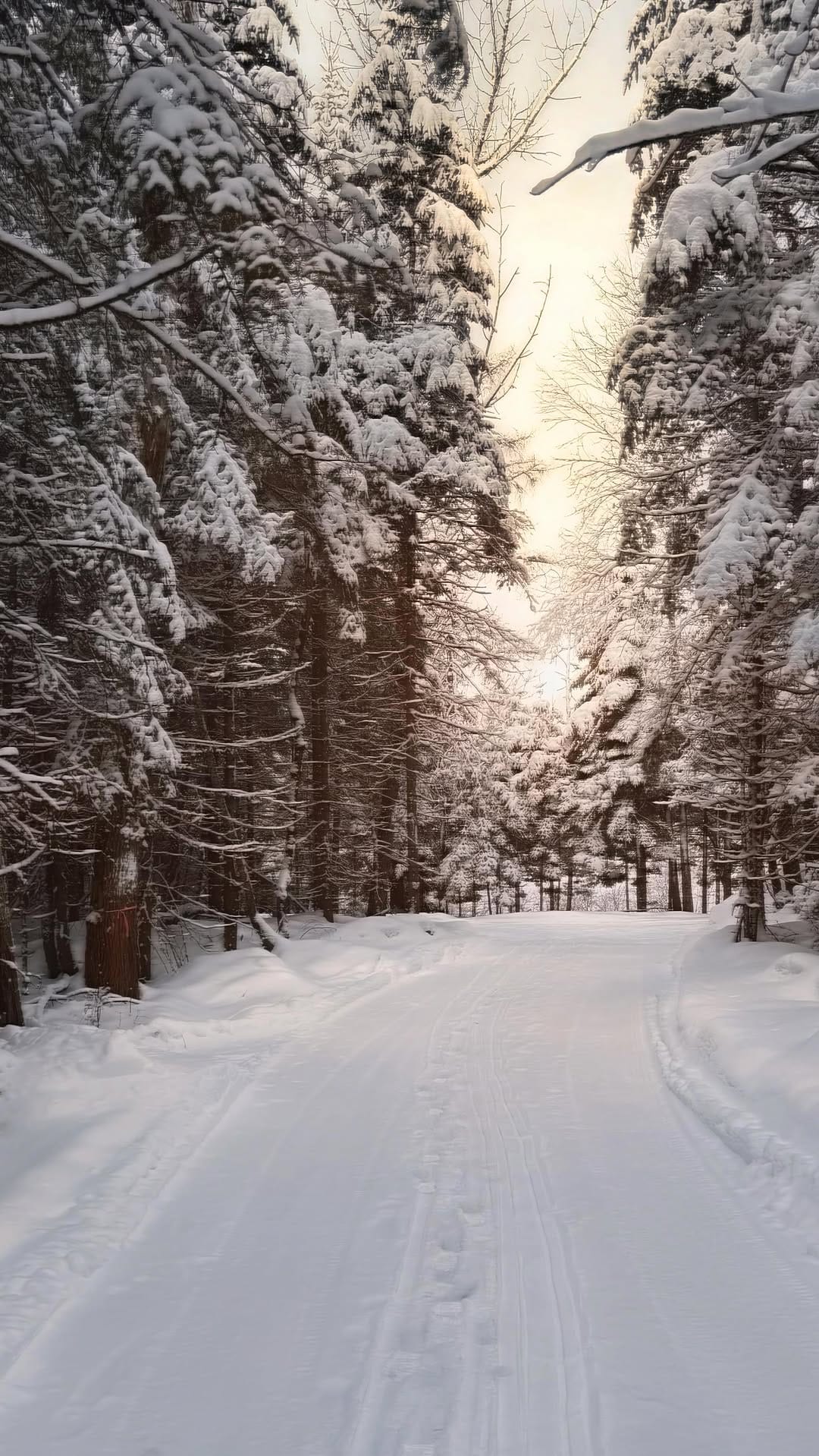 Post 8 by VIRGINIE on Instagram (video)