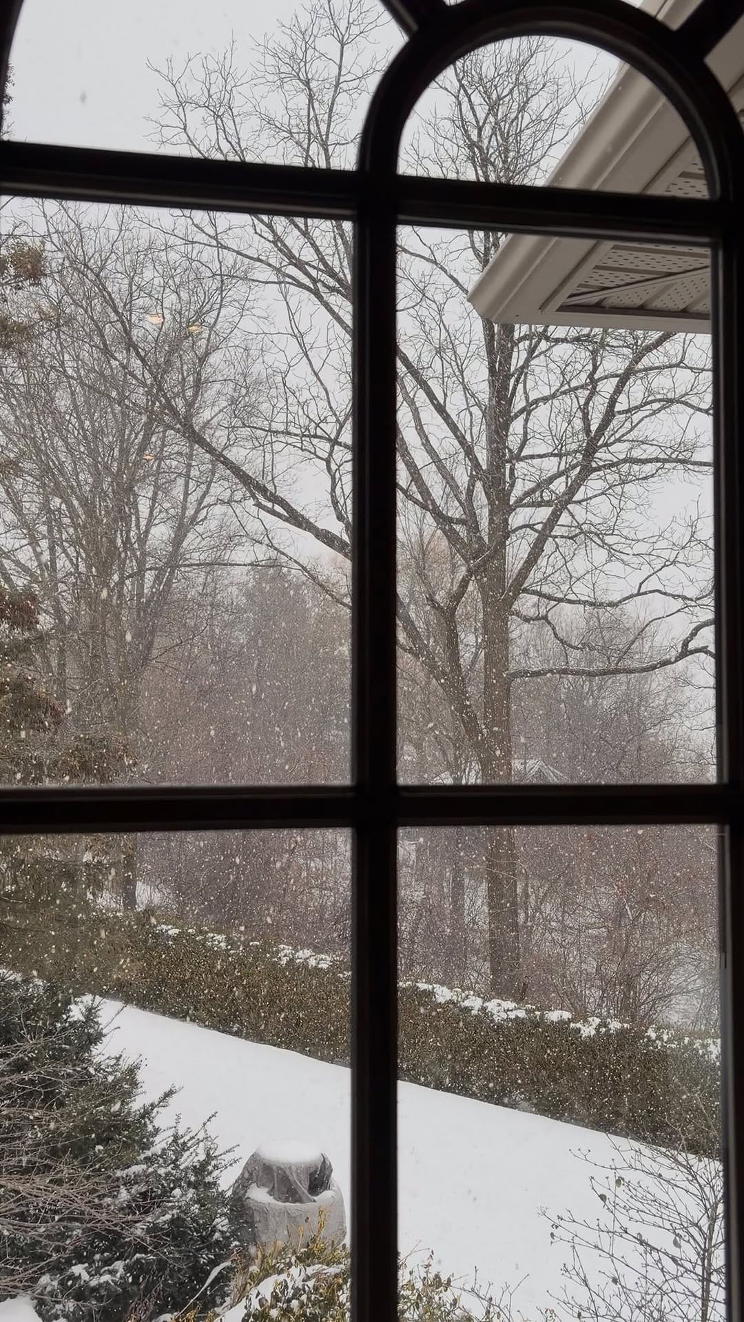 Post 4 by Aya Halabieh | Toronto influencer on Instagram (video)