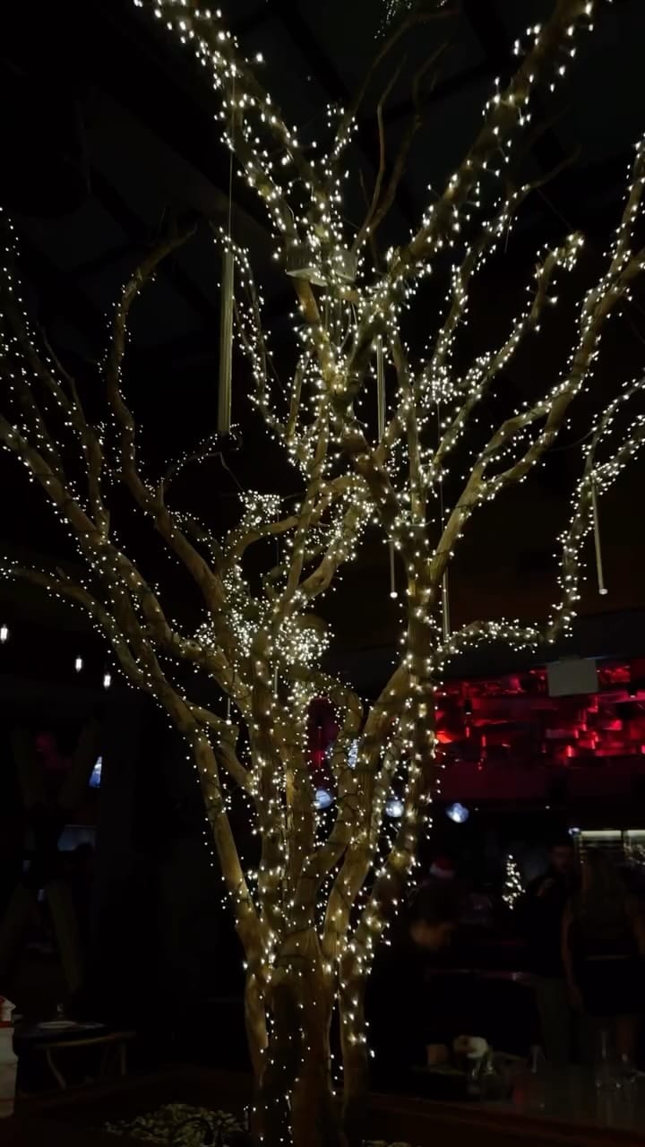 Post 10 by Pooja Mandluskar | Digital Creator on Instagram (video)