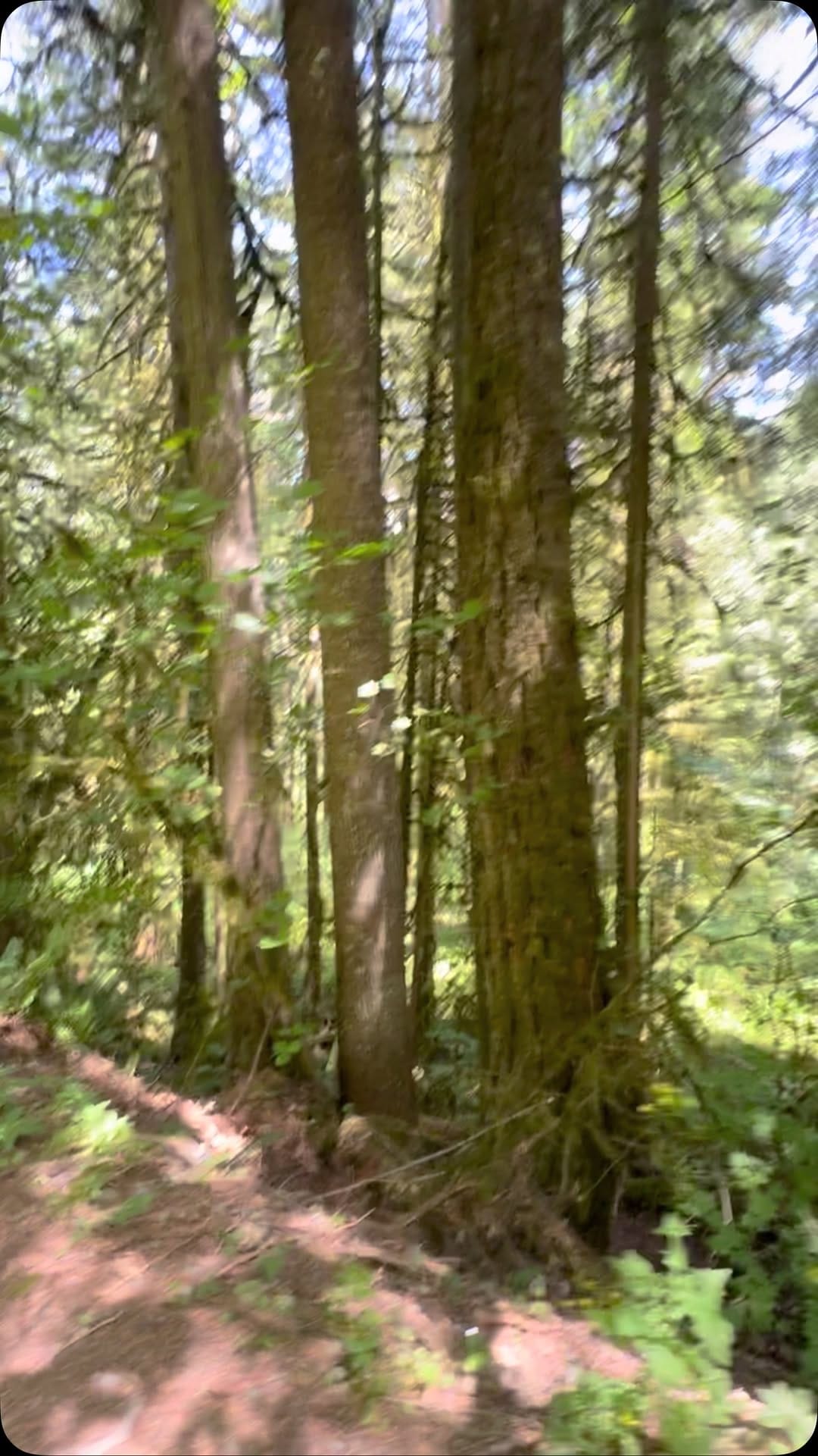 Post 2 by Canada 🍁 on Instagram (video)