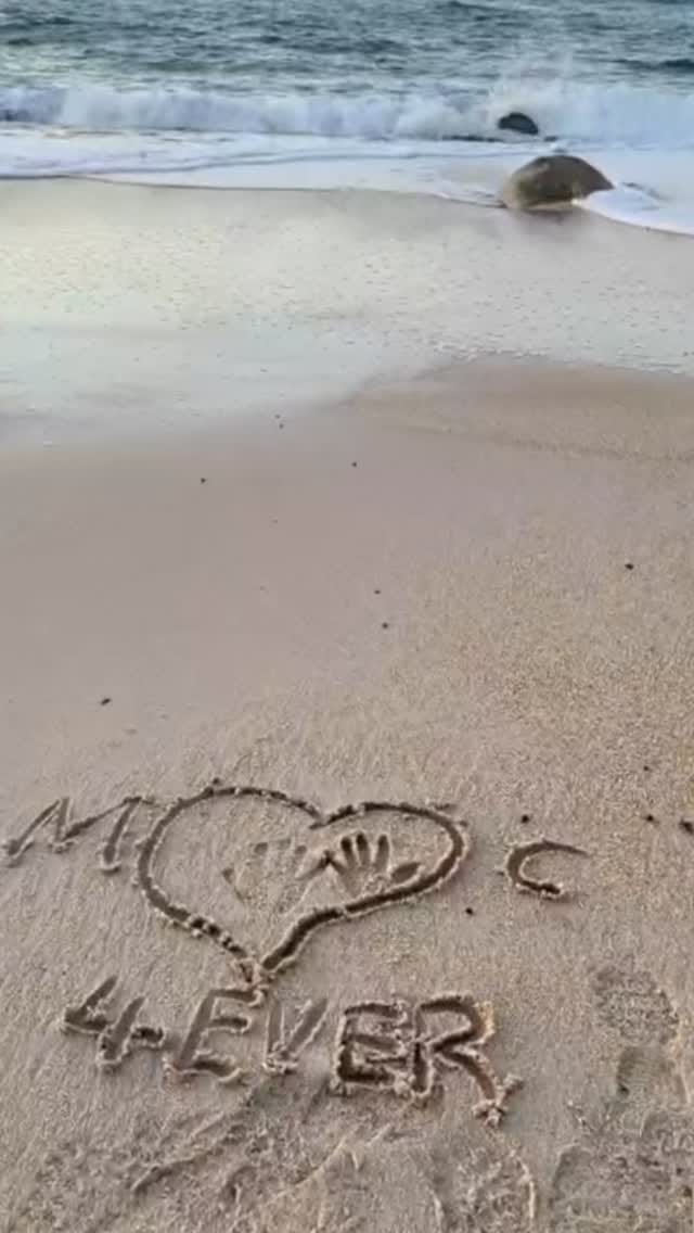 Post 3 by Woodse & Sultan  the Doberman ❤️ on Instagram (video)