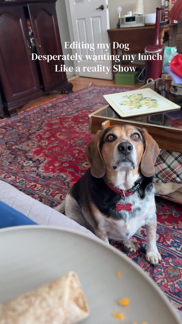 Post 1 by Allison Elizabeth on Instagram (video)