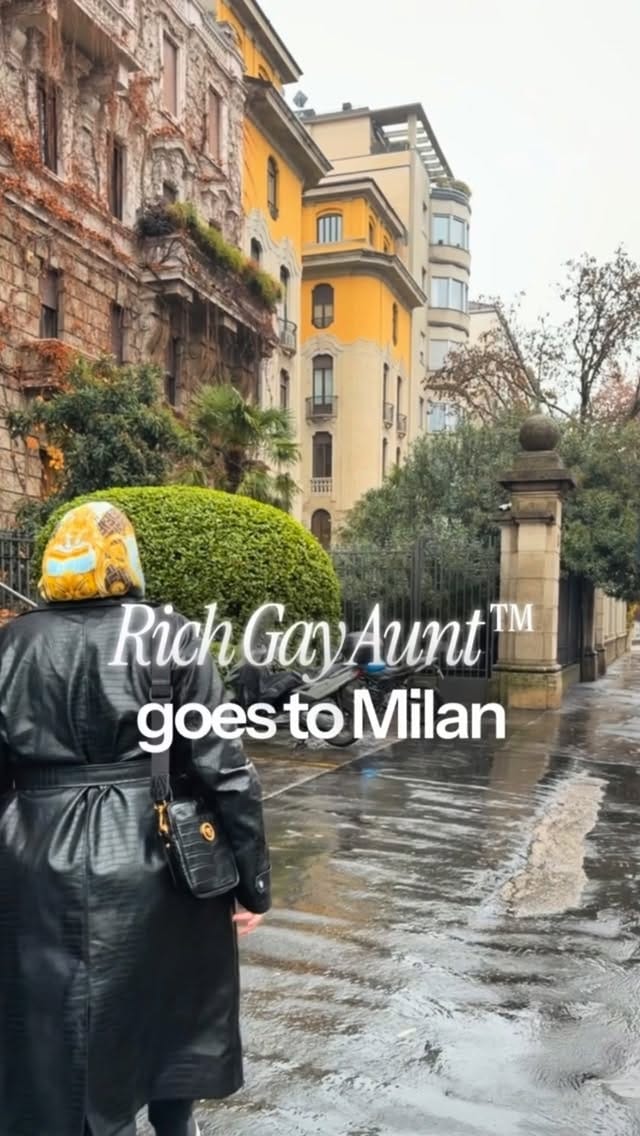 Post 2 by Anita Soltanian 🏳️‍🌈 on Instagram (video)