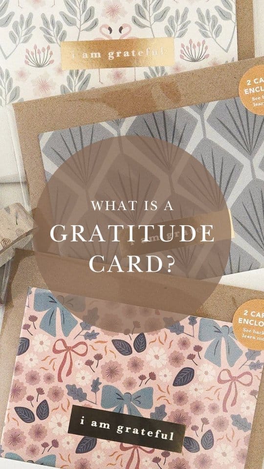 Post 8 by Tiffany | Founder of Maylay Co. on Instagram (video)