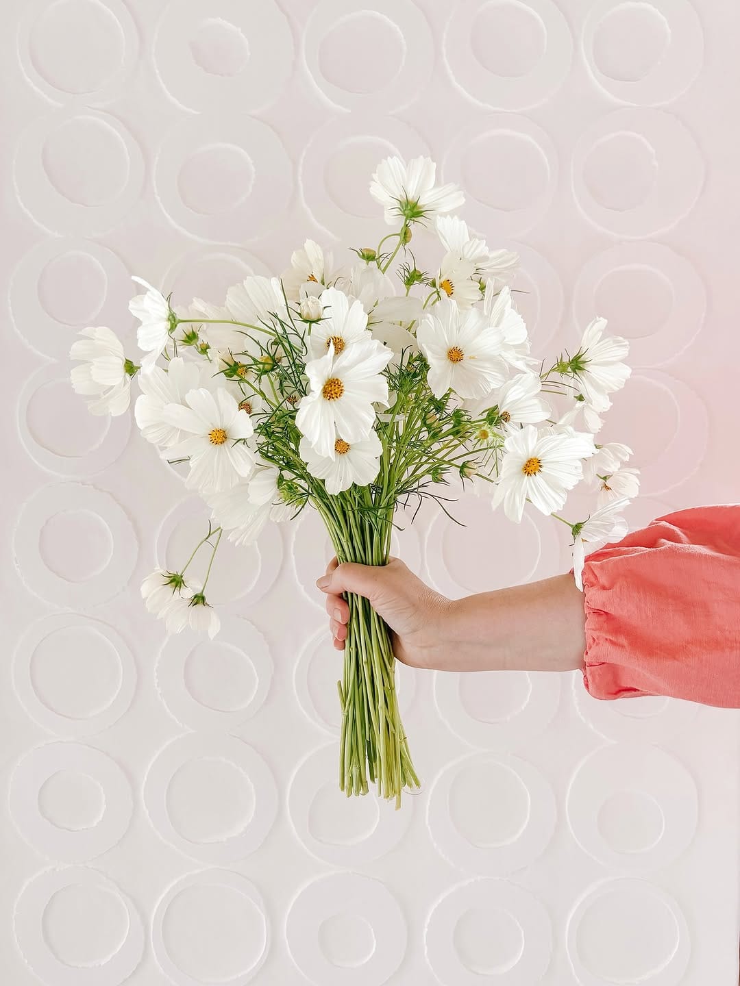 Post 8 by CiCi & Me| simplistic & pretty coastal decor & more on Instagram (image)
