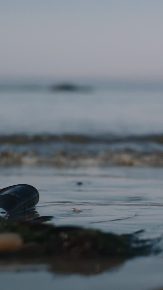 Post 10 by @tofinoyoga on Instagram (video)