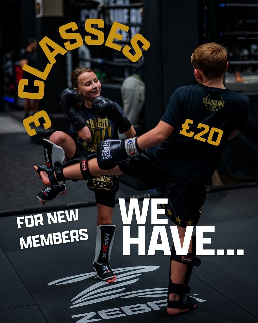 Post 9 by Bloodline Gym on Instagram (carousel)