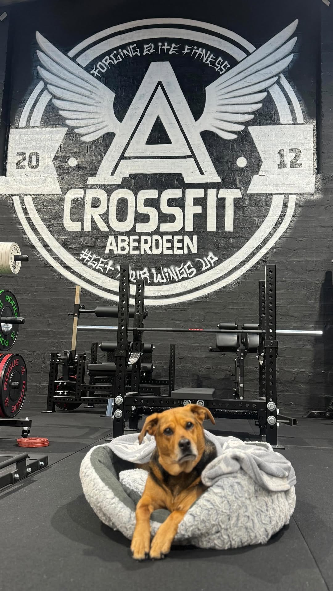 Post 2 by CrossFit Aberdeen on Instagram (video)
