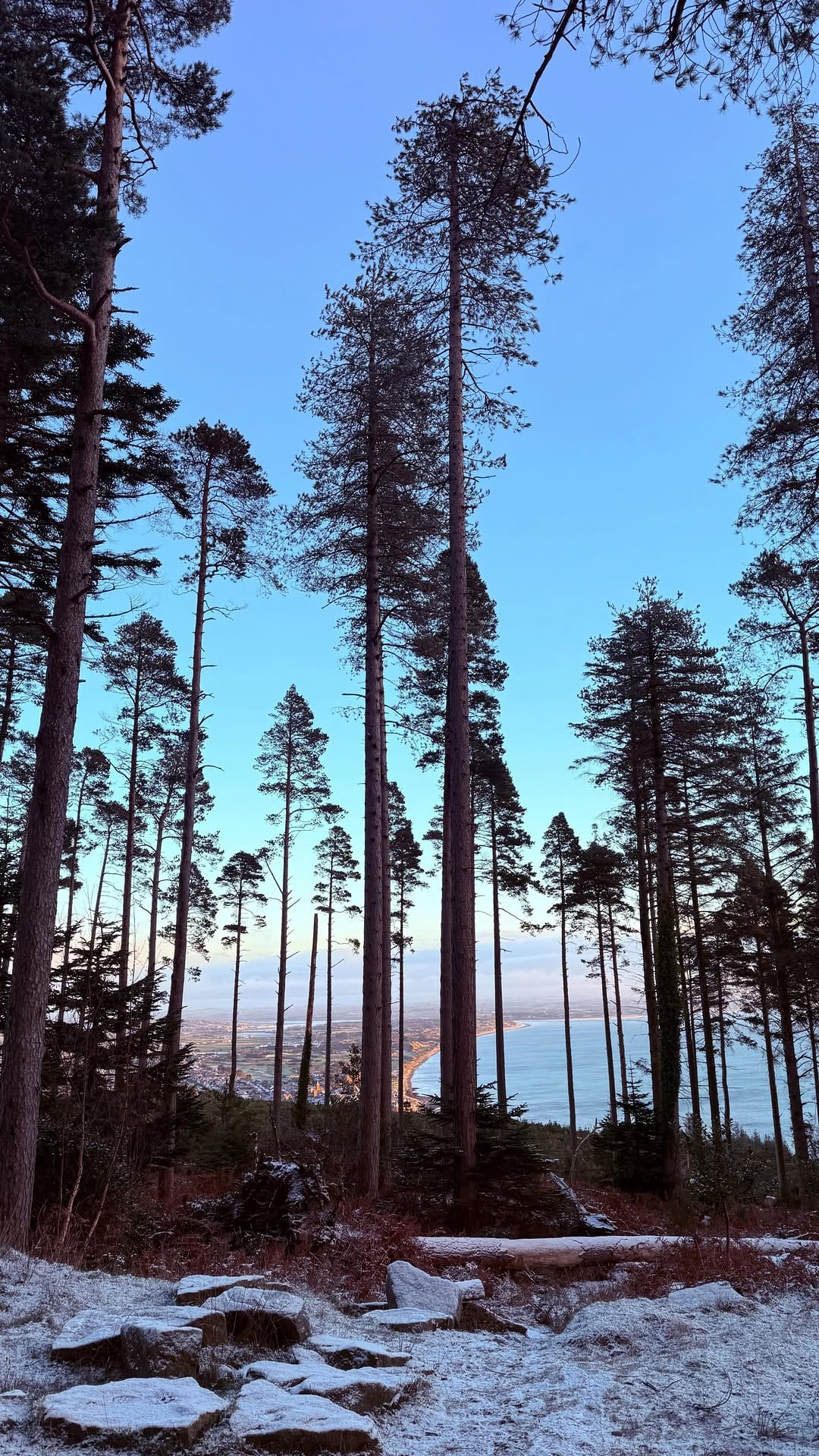 Post 3 by sam erinna gilmore on Instagram (video)