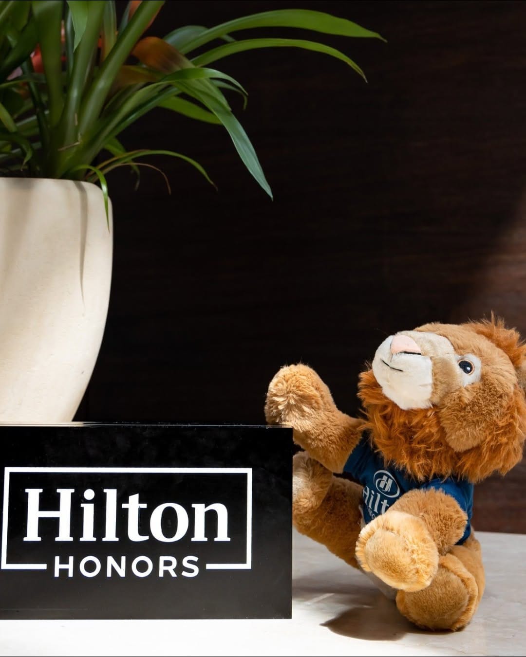 Post 5 by Hilton London Wembley on Instagram (image)