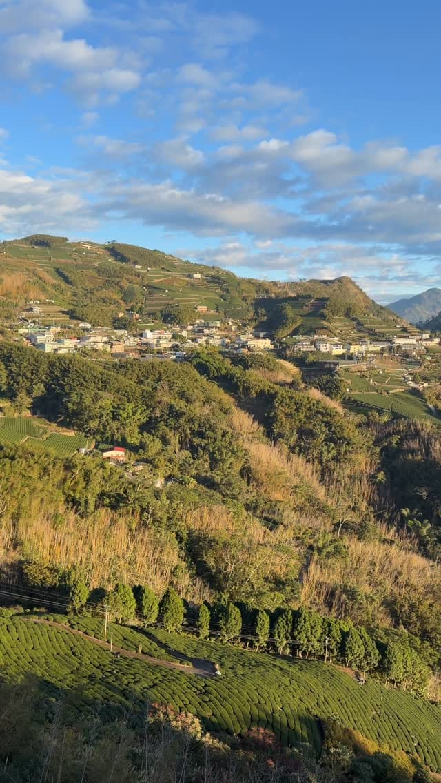 Post 4 by Viv Ch on Instagram (video)