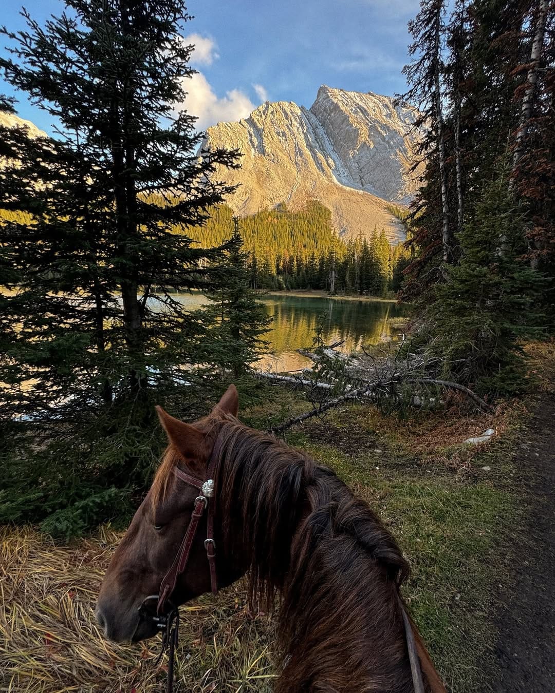 Post 9 by Ariane Toussaint on Instagram (carousel)
