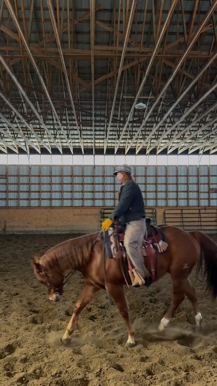 Post 4 by Ariane Toussaint on Instagram (video)