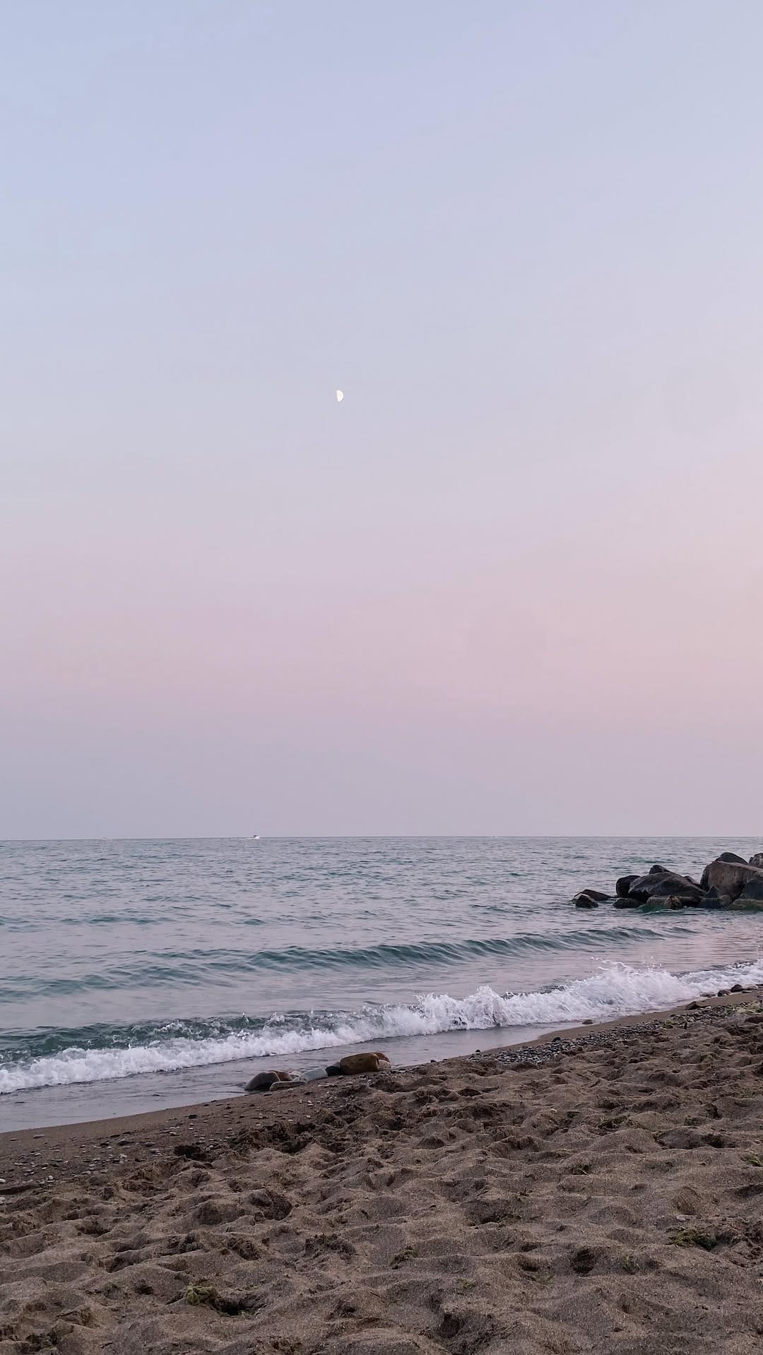Post 8 by Victoria Lei on Instagram (video)