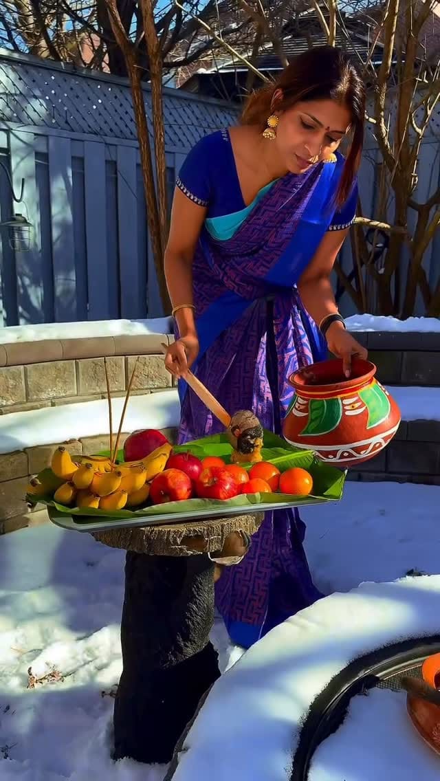 Post 5 by Anu Aryan 🇨🇦 on Instagram (video)