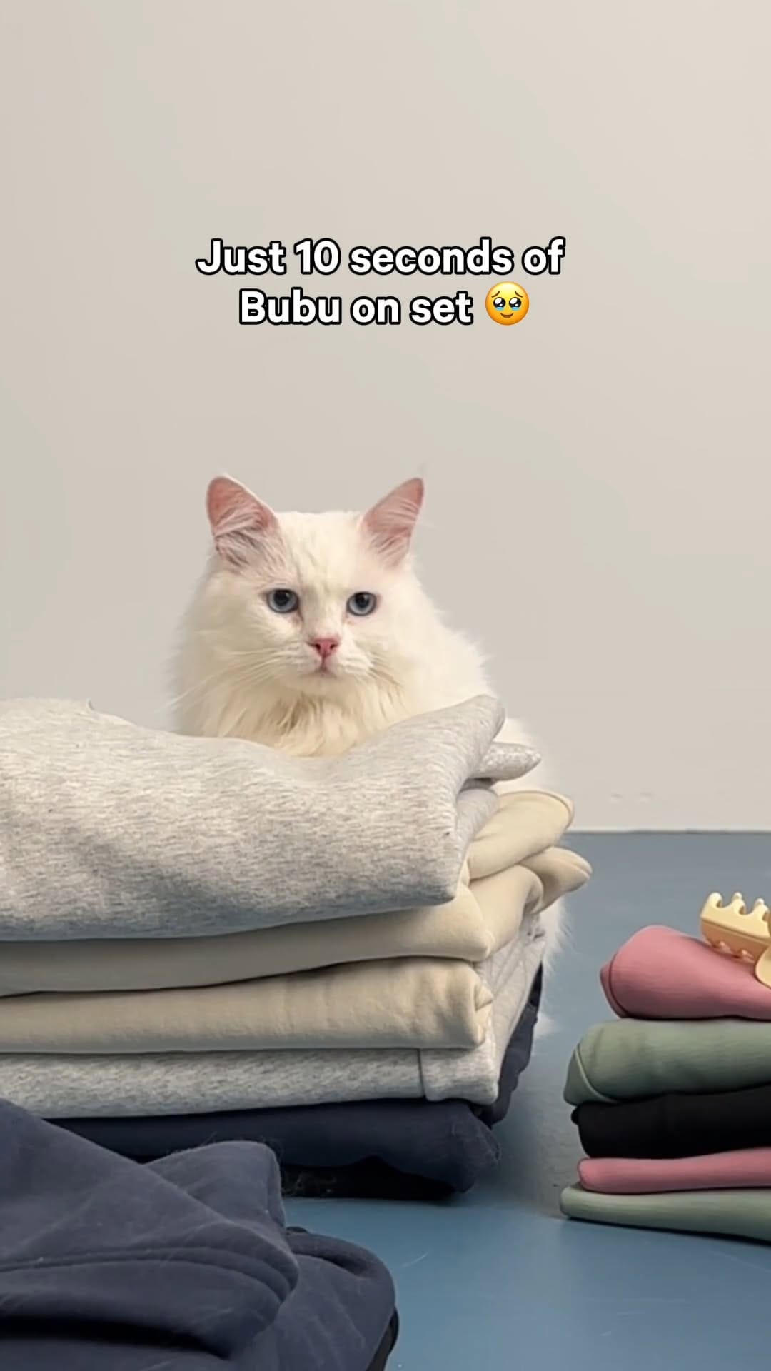 Post 10 by Joe Fresh on Instagram (video)