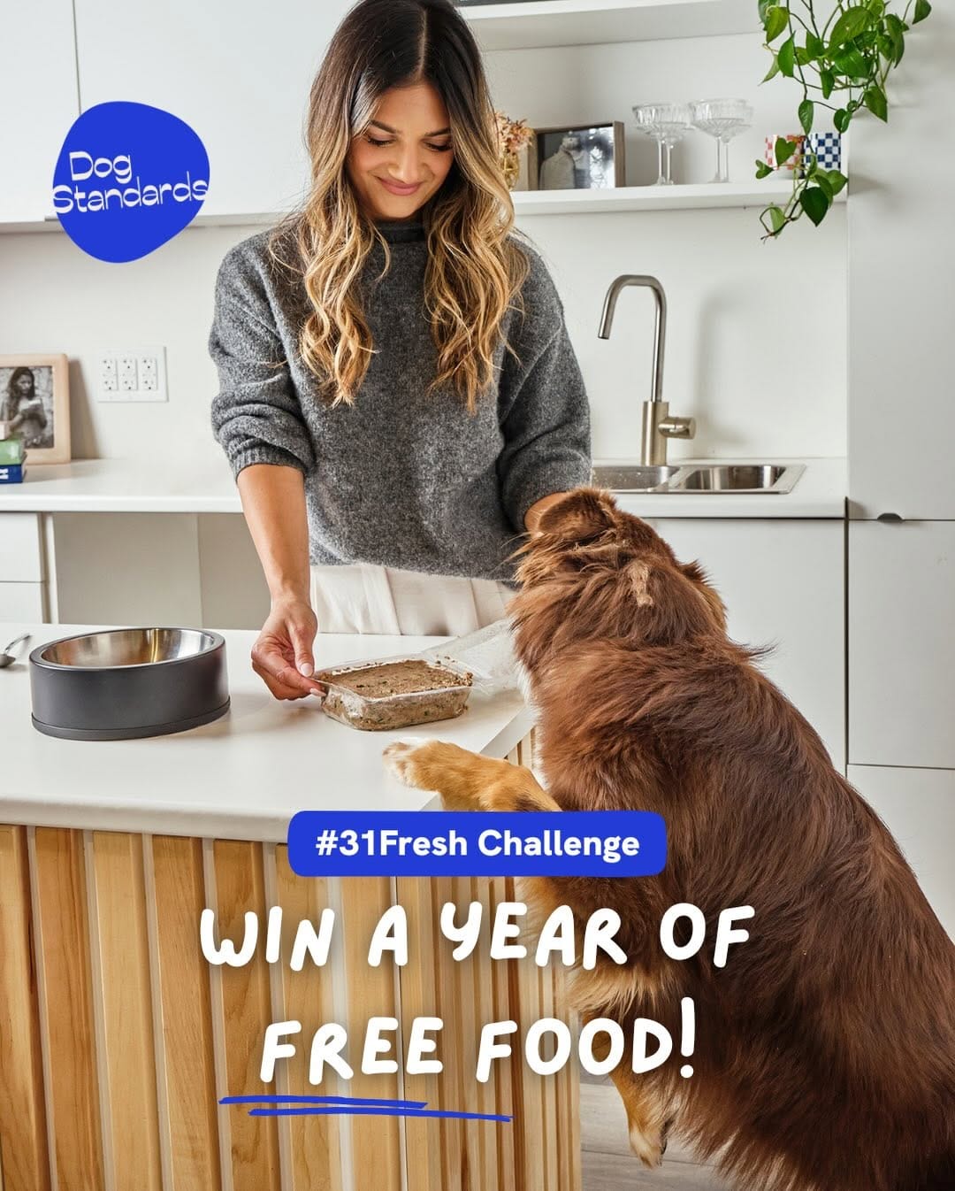 Post 6 by Dog Standards Fresh Dog Food on Instagram (carousel)